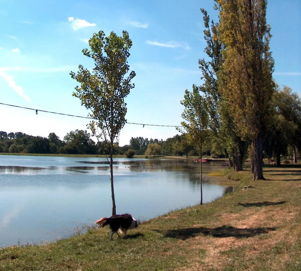 Vakantiehuis L'Atelier, Confort, Bain A Remous Et Nature Parisot  Frankrijk